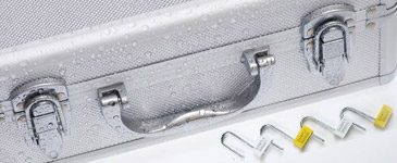 Padlock Seal